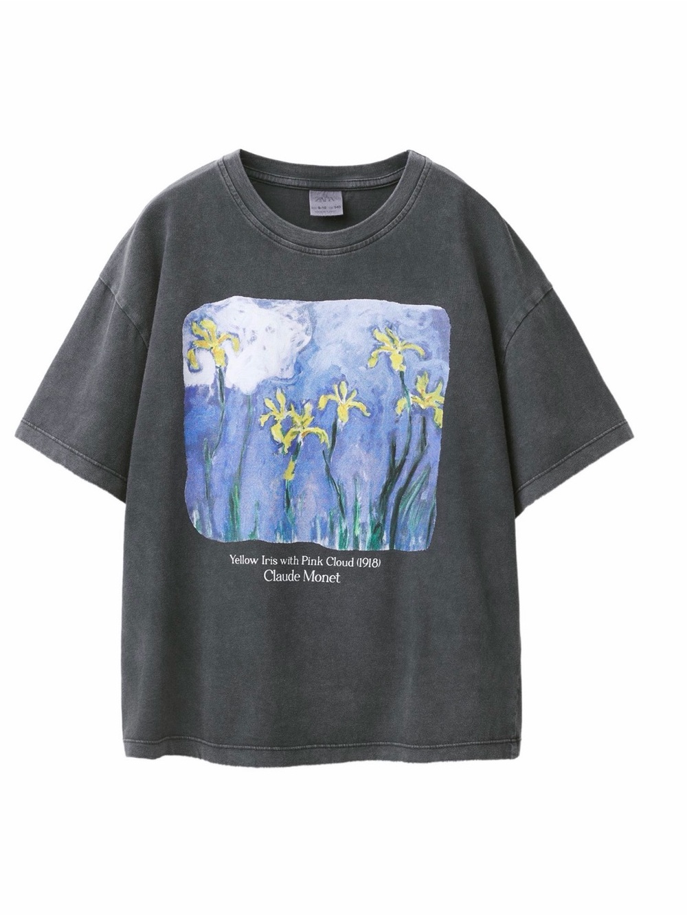 Zara Claude Monet Painting Print Short Sleeve T-Shirt Girls 9-10 Years